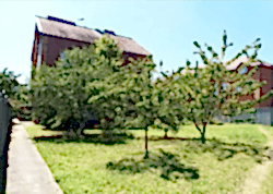 Фото пансионата